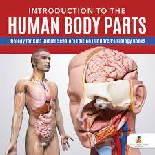 Let us learn some fun facts about the brain. Read Introduction To The Human Body Parts Biology For Kids Junior Scholars Edition Children S Biology Books Online By Baby Professor Books