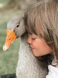 Just a girl and her goose 🥹🌷