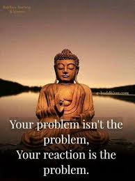 Pin By Beautiful Life Skl On Alka Buddhist Quotes Buddhism Quote Wisdom Quotes