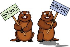 Image result for groundhog day