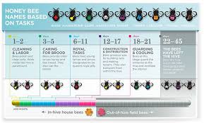 The Complex Life Of The Honey Bee Purdue Pesticide Programs Honey Bee Bee Life