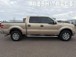 Image result for Arizona Beige 2013 Fleet