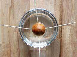 Check spelling or type a new query. How To Plant An Avocado Seed And Grow A Tree From A Pit Hgtv