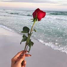 Here are only the best red rose wallpapers. Music To Watch Boys To Flowers Nature Landscape Illustration Girls With Flowers