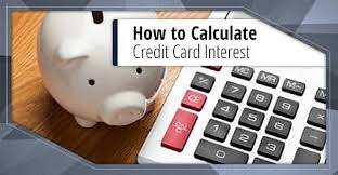 Credit card interest rate calculator. How To Calculate Credit Card Interest 3 Steps To Find Your Rate Cardrates Com