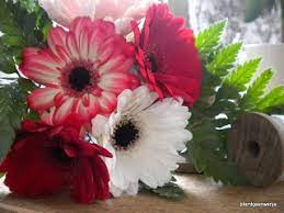 Same day or next day delivery is available. 31 Flowers That Start With G Ideas Flowers Planting Flowers Beautiful Flowers