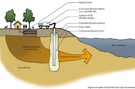 The Vineyard Gazette Martha S Vineyard News Mvc Lands Major Grant To Restore Lagoon Pond