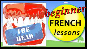 Over 100,000 french translations of english words and phrases. Parts Of The Head In French Beginner French Lessons For Children Youtube