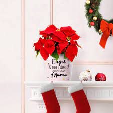 Geschenke Fur Mama 8 Coole Ideen Zu Weihnachten Myfacepot