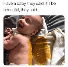 Alligators are pretty cool animals to look at from afar, both on land and underwater. Funny Parenting Memes Hat Ein Funny Parenting Memes