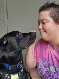 Overcoming dog's fear of rain and thunderstorms with positive reinforcement  training