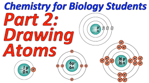Drawing is difficult, since there doesn't seem to be any good way of drawing electrons. Basic Chemistry For Biology Part 2 Drawing Atoms Using The Octet Rule Youtube