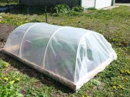 Maybe you would like to learn more about one of these? Greenhouse Do It Yourself 92 Photos How To Make A Convenient Home Made Greenhouse For Peppers The Best Projects