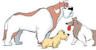 How To Draw Cartoon Dogs – Scout Life Magazine