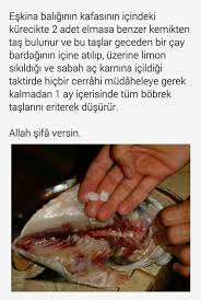 Elif Haciosmanoglu Adli Kullanicinin Saglik Panosundaki Pin Saglik Saglik Ipuclari Dogal