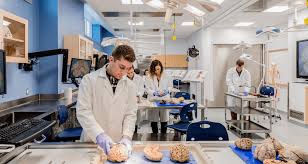 Why Study Nursing At A Liberal Arts College The Bell Nursing Study Liberal Arts College Liberal Arts Education