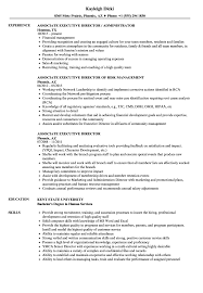 Associate Executive Director Resume Samples Velvet Jobs