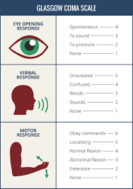 Best eye response scores do not change in either of the pediatric glasgow coma scale versions. Glasgow Score And Brain Injury Claims