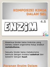 Latihan topikal biologi tingkatan 4 bab 5. Biologi Tingkatan 4 Bab 4 Komposisi Kimia Dalam Sel Enzim