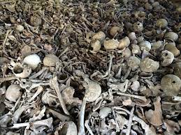 View the top 3 vitamins for bones of 2021. Why It Seems The Human Bone Does Not Decay Steemit
