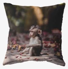 Just to search and unlimited download for free. Baby Monkey Png Images Free Transparent Baby Monkey Download Kindpng