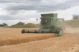 Als nächstes zerhacken sie die pflanzen mit einem. Die Ernte Hat Begonnen Gerste Ertrag Lasst Bauern Aufatmen Nordkurier De