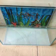 Aquascape ini sangat mudah dibuat, sangat bagus, dan te. Jual Aquarium Akuarium Ukuran 40 X 19 X 25 Cm 40x19x25 Untuk Aquascape Kota Bekasi Rida Alghasani Tokopedia