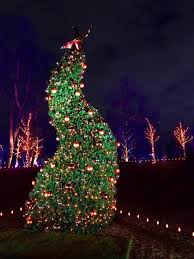 Some Wintery Things Passion Gif Christmas Franklin Park Conservatory