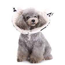 Galleon Tutuba Pet Cone E Collar Cute Milk Cow And Frog