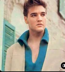 Elvis Daughter Deborah Presley Releases Long Awaited Autobiography