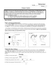 Use complete sentences and facts from the lab to support your answers. Pedigree Worksheet Pdf Malayziaaa Name Period Pedigree Studies Pedigrees Are Not Reserved For Show Dogs And Race Horses All Living Things Including Course Hero