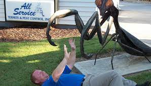 Top pest control services in duluth, ga. Termite Treatment Pest Control All Service Termite And Pest Control Dacula Ga