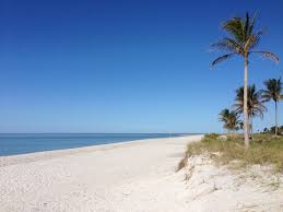 Image result for Sandy Beach Brown 2011 Captiva