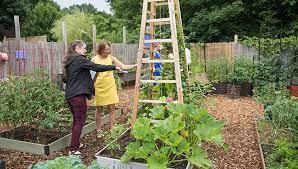 Our Team Of Garden Testers Gardener S Supply