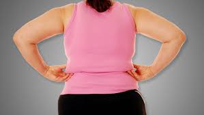 Common back problems affected by obesity. How To Do The Russian Twist To Target Lower Back Fat Z Living