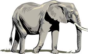 This Free Clip Arts Design Of Elephant Png Elephant Clipart Png 3333x2084 Png Clipart Download Elephants are large mammals of the family elephantidae and the order proboscidea. this free clip arts design of elephant