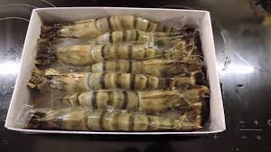 To me, the slightly difficult part is the folding or pleating of dumplings, an easy skill that just requires some practices and training. Jumbo Karides 12 11 2015 Youtube