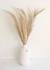 Pampas Decor
