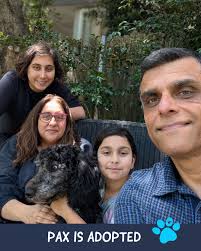 When Pax arrived, he was in a sad state and went straight to the vet. 🏥 As  it turned out, it was his lucky day because he was picked up by a