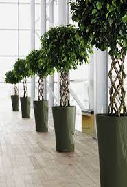 Clients Client Services Planters Group Plants Outdoor Furniture Decor Backyard Landscaping Designs