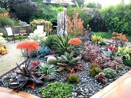 By susan patterson master gardener. Desert Landscape Design Tips To Transform Your Backyard Milestone