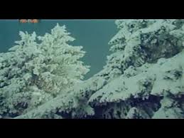 Cei care urmăresc atent fotbalul spaniol, și nu doar ei, știu că real madrid a suferit recent o adevărată dramă. Dragoste La Zero Grade Mai Ilie Youtube