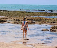 Considerado por muchos como la mejor playa de brasil. 10 Playas Paradisiacas Del Norte De Brasil Que Necesitas Conocer Hostelworld