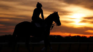 Belmont stakes belmont stakes 2021: Qpyqksqvkrz1m
