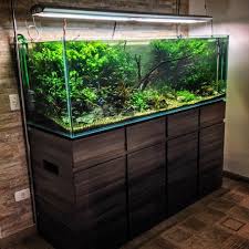 Het is helaas niet waar dat goudvissen zich aanpassen aan de afmetingen van hun kom. Brilliant 50 Aquascape Aquarium Design Ideas Https Meowlogy Com 2017 04 04 50 Aquascape Aquarium Design Idea Aquarium Design Aquarium Fish Tank Aquarium Fish