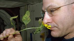 Wait… did the flag just wave? 🇺🇸🤔⁠ ⁠ Conspiracy theorists, assemble! 🧠⁠  ⁠ #moon #moonlanding #apollo14 #nasa #space #starwalk