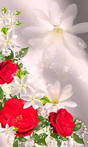 ورود بيضاء الخلفية تحميل إلى هاتفك النقال من Phoneky