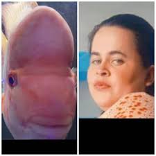 COMUNIDAD1:BOSQUE DE SALOYA, VIVERO, LA SELVA, EL CEDRO Y SUS ALREDEDORES!!