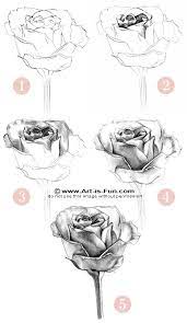 How To Draw A Rose Learn To Draw Rose Pencil Drawings Drawings Roses Drawing Pencil Drawings