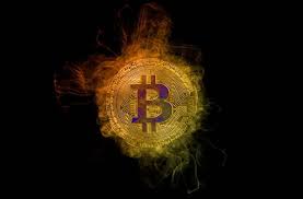 The largest ever bitcoin bubble takes place in this period, seeing bitcoin grow from $0.30 to one dollar in february and then skyrocketing to $10 in june. 3 Reasons Why Bitcoin And Crypto Will Recover In 2020 Micky News
